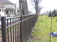 Fence Gallery Photo - 54'' Residential Aluminum Fence 2.jpg